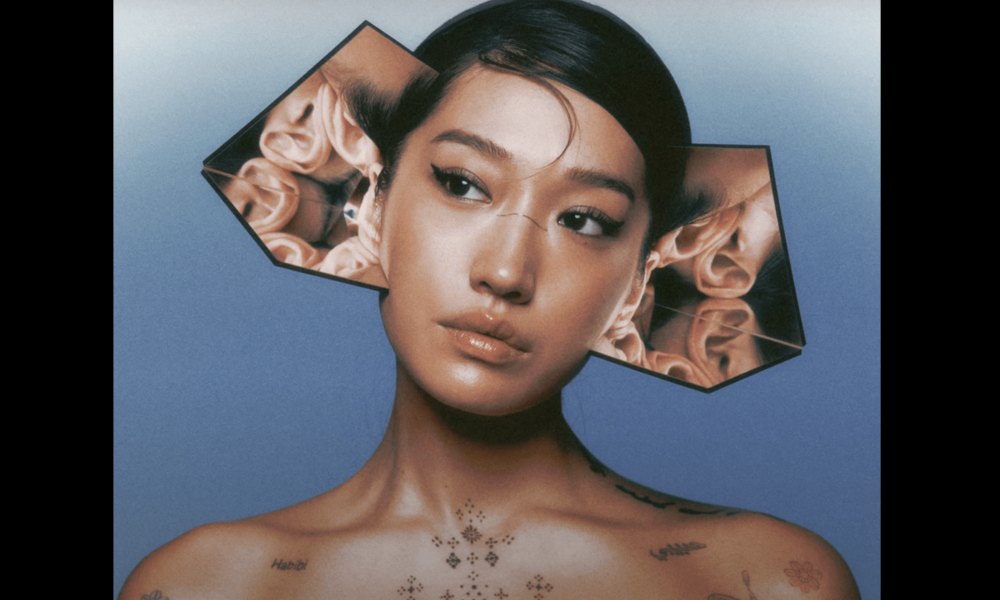 płyta z muzyką elektroniczną